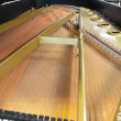 1899 One of a kind Steinway Concert Grand piano - Grand Pianos